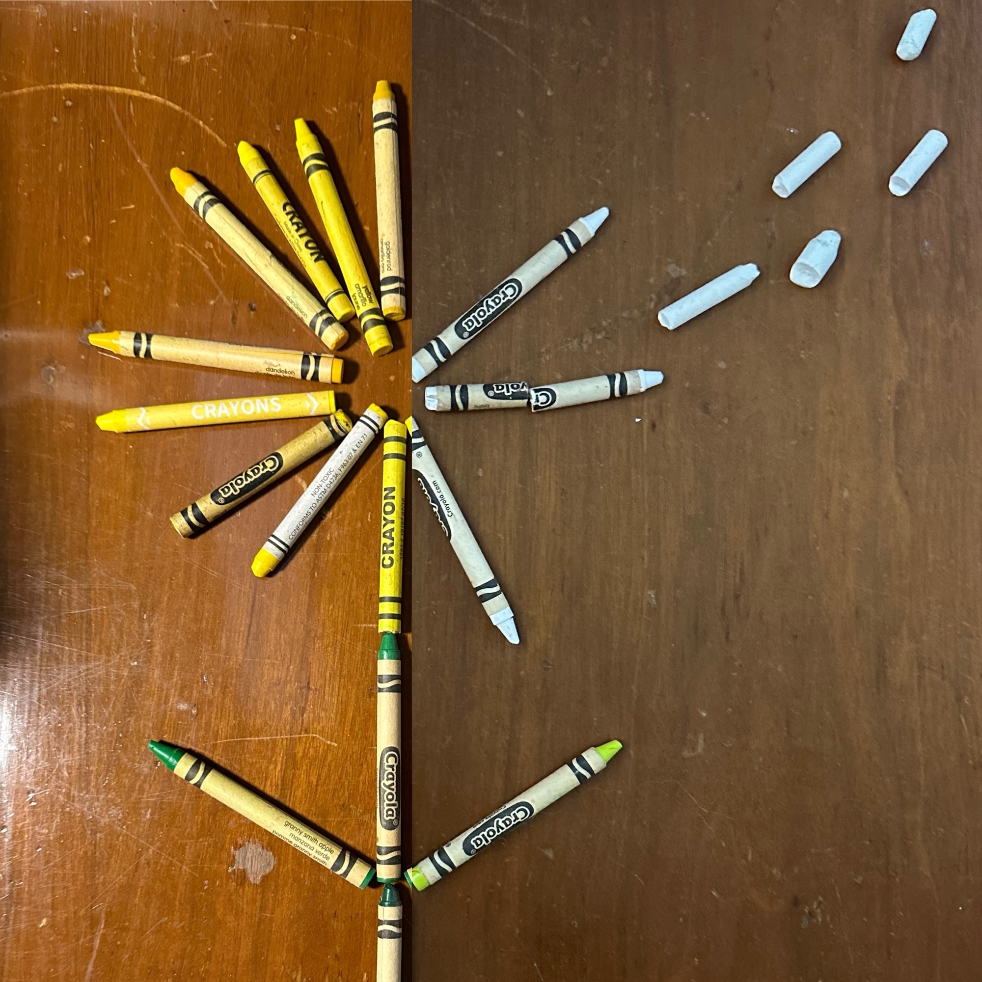 Wishes: The Science and Poetry of Dandelions