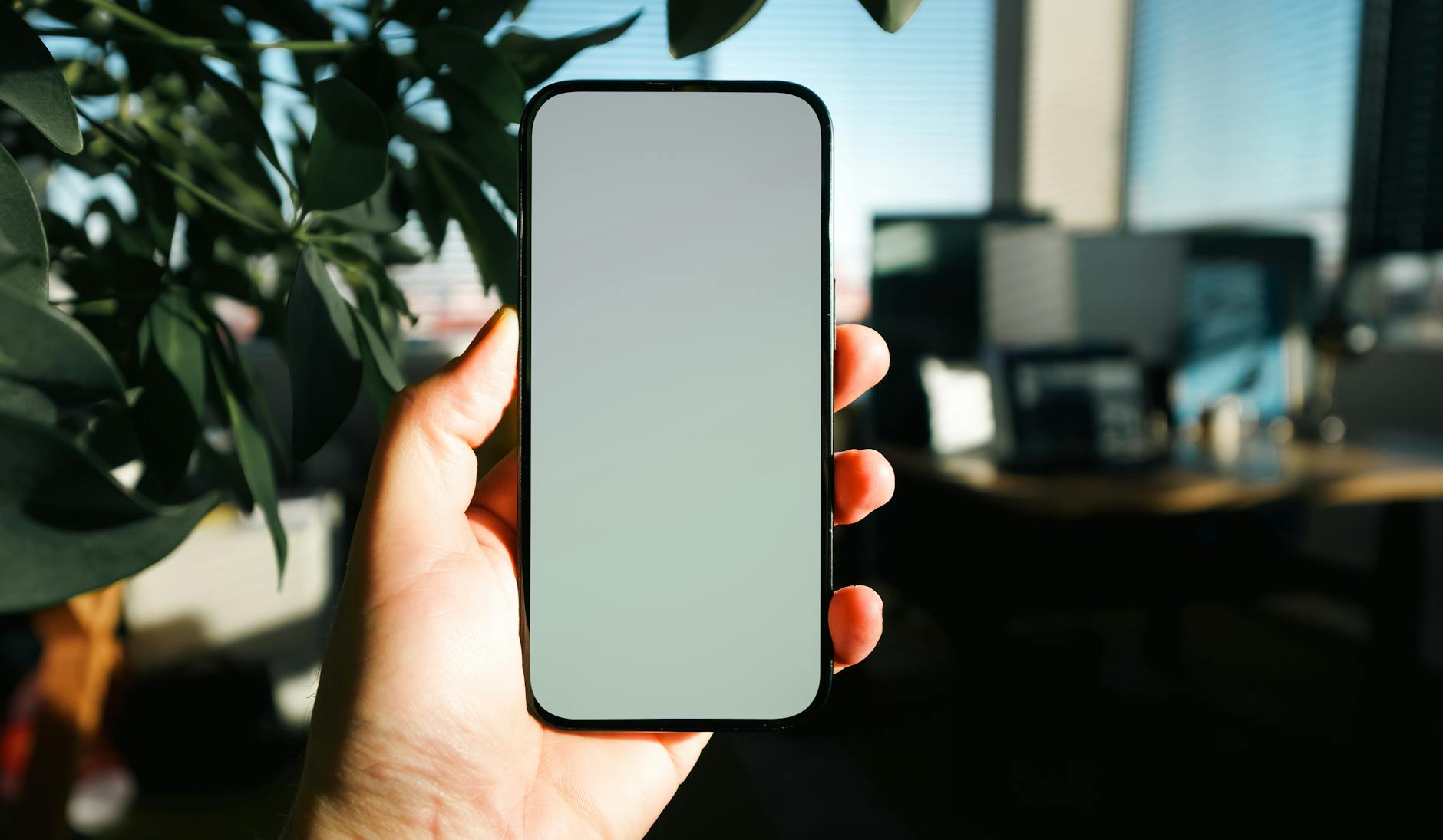 Outta the Mouth of JAWS